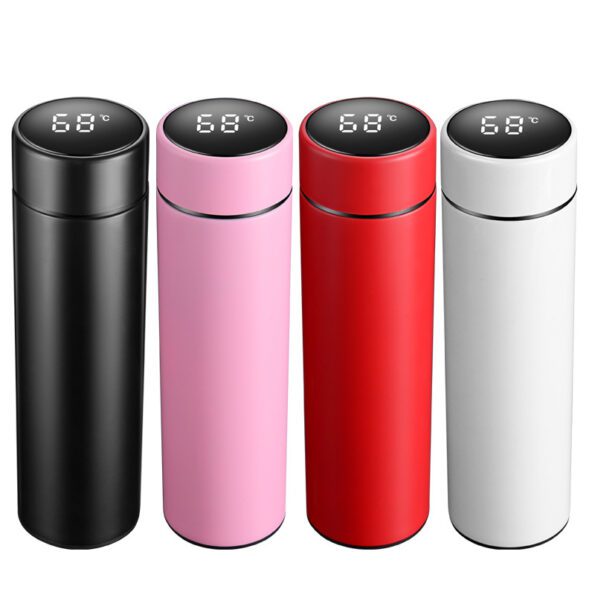 Temperature Display LED Smart Water Bottle