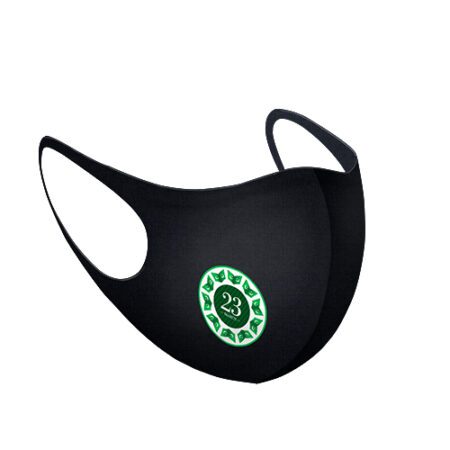 Pakistan resolution day face mask